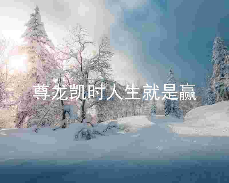 尊龙凯时人生就是赢