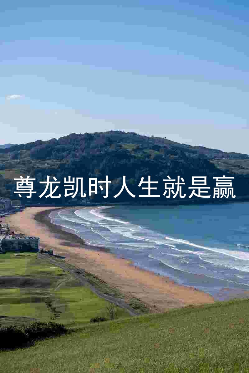 尊龙凯时人生就是赢