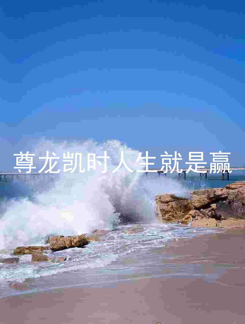尊龙凯时人生就是赢