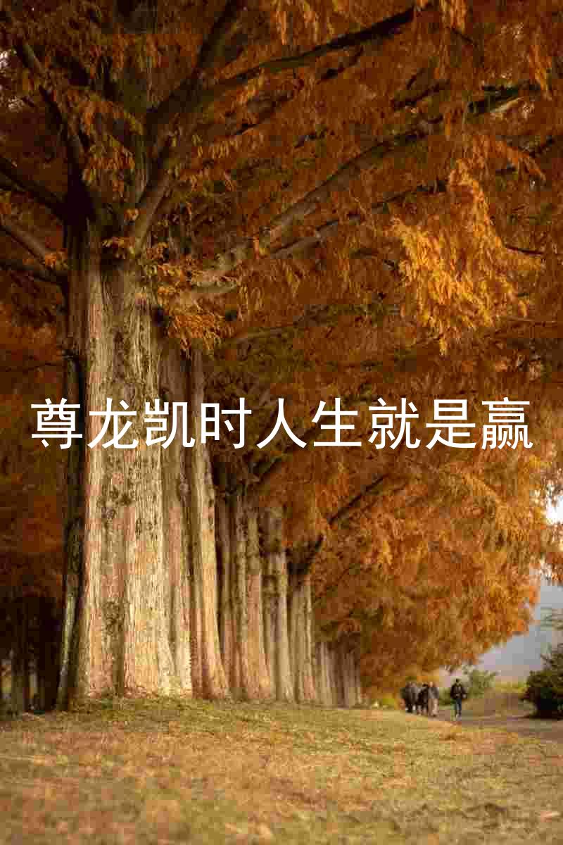 尊龙凯时人生就是赢