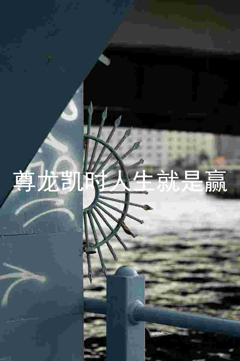 尊龙凯时人生就是赢