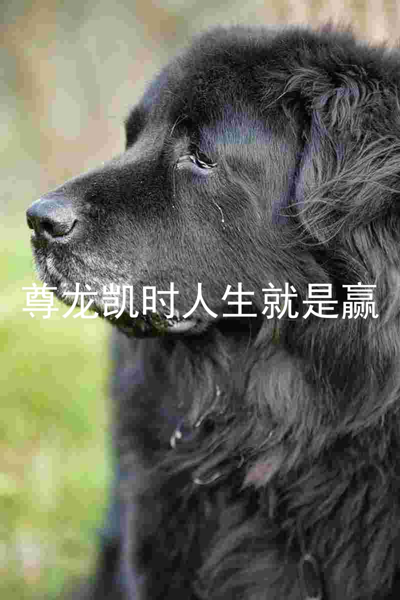 尊龙凯时人生就是赢