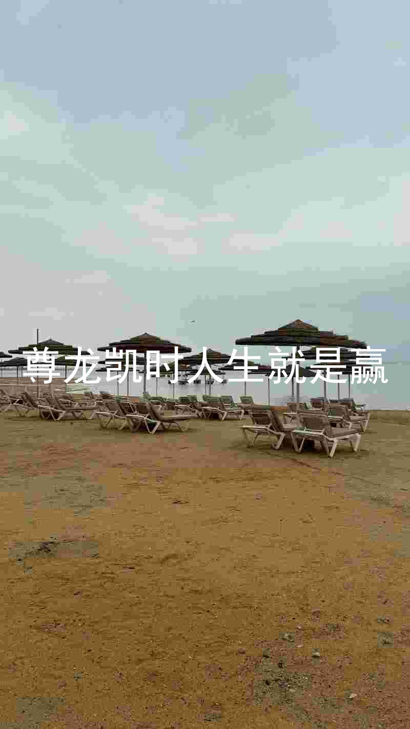 尊龙凯时人生就是赢