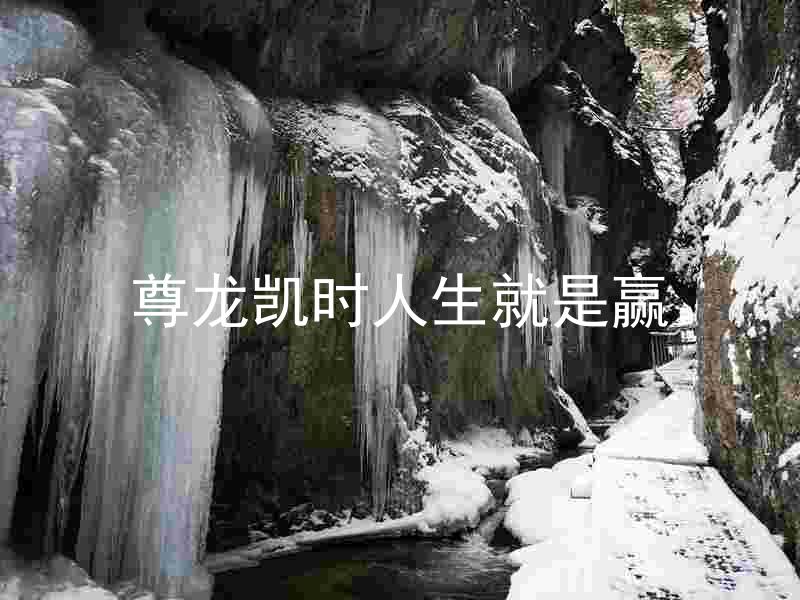 尊龙凯时人生就是赢