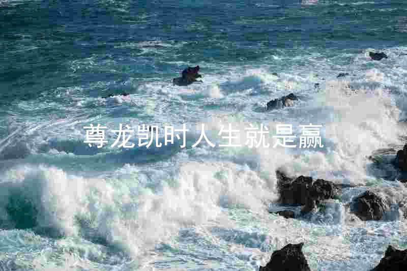 尊龙凯时人生就是赢