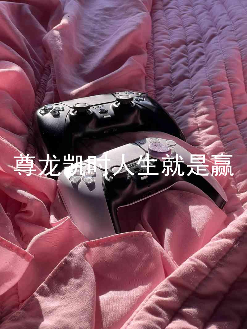 尊龙凯时人生就是赢