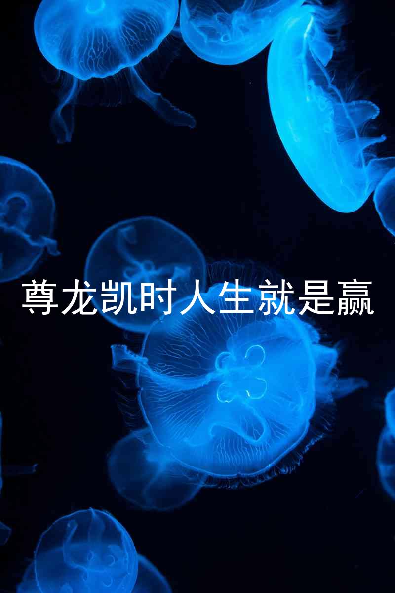 尊龙凯时人生就是赢
