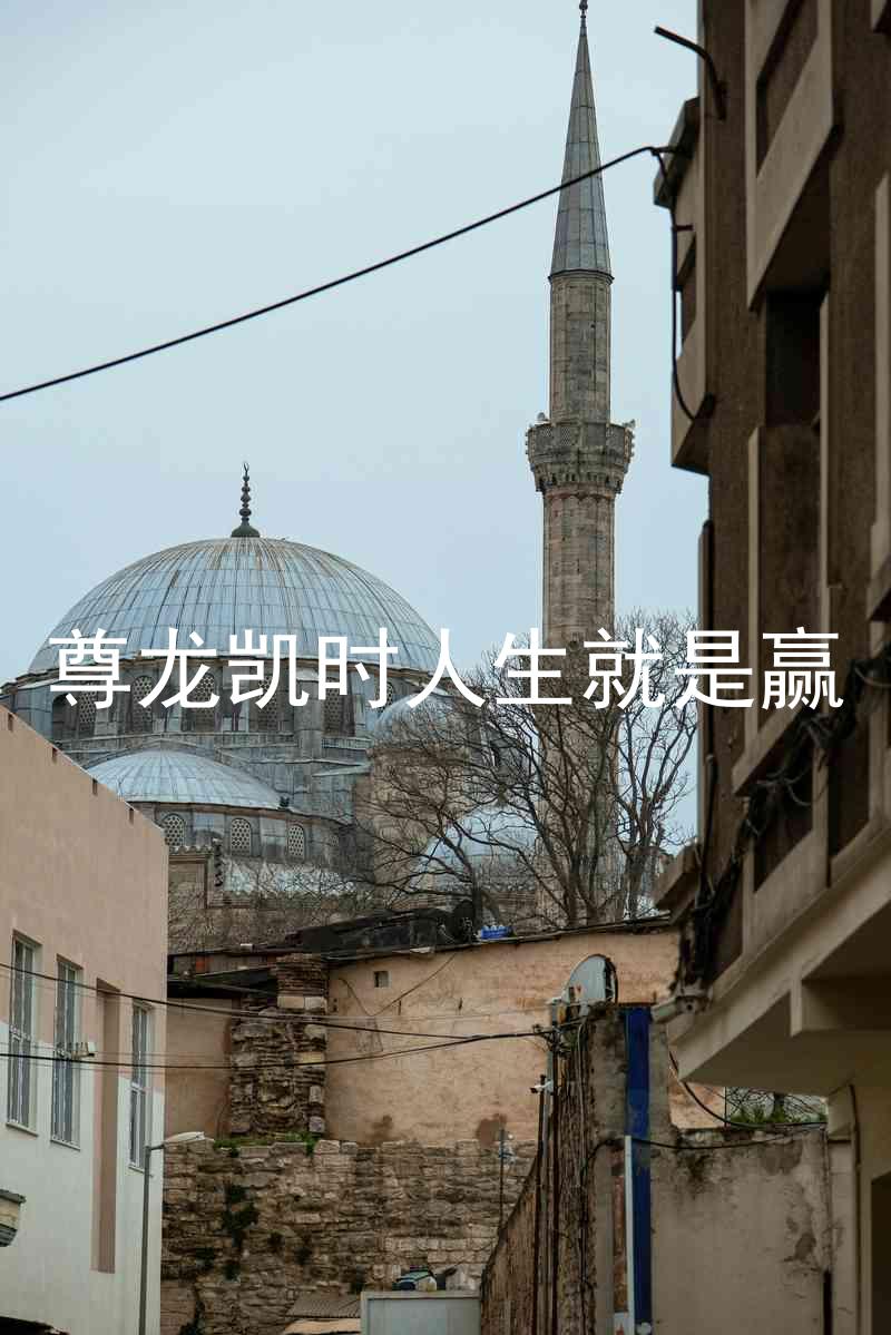 尊龙凯时人生就是赢