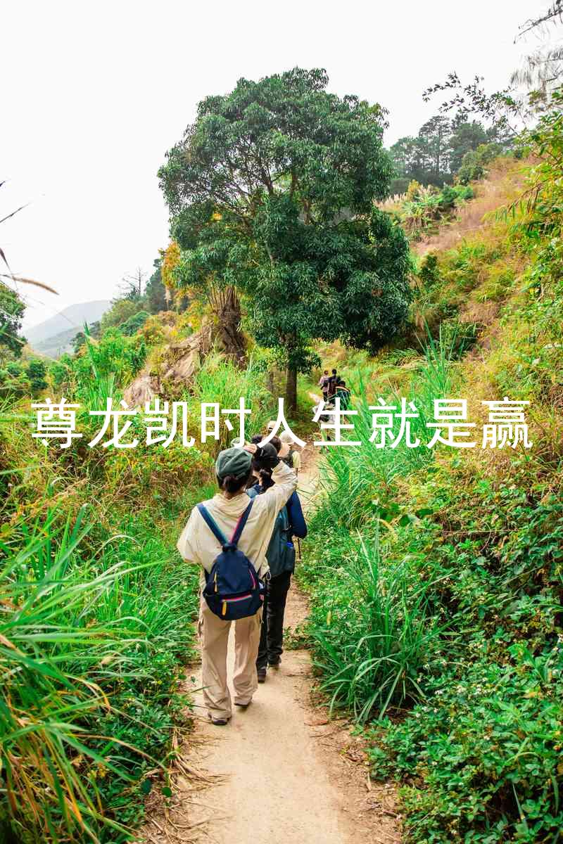 尊龙凯时人生就是赢
