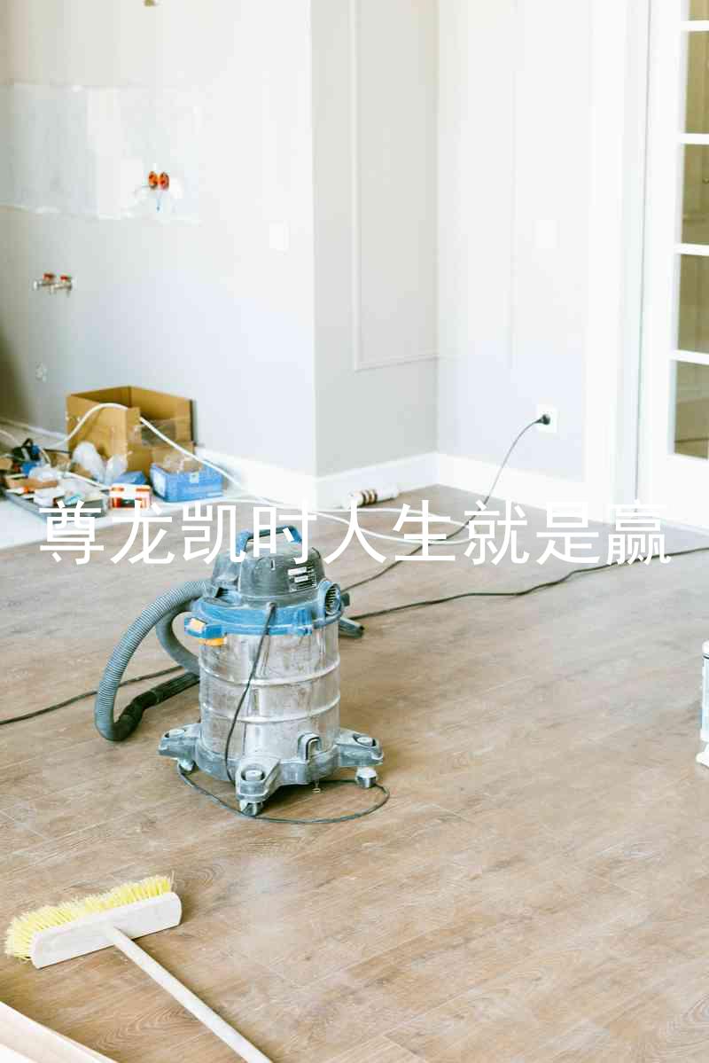 尊龙凯时人生就是赢