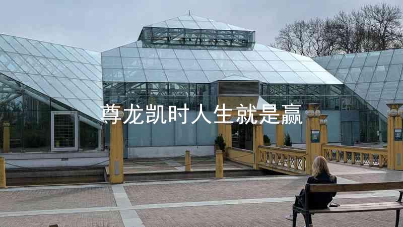 尊龙凯时人生就是赢