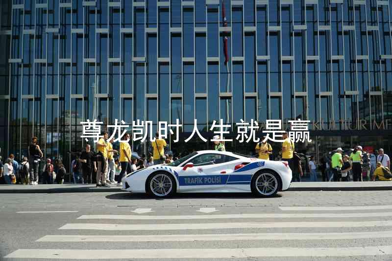 尊龙凯时人生就是赢