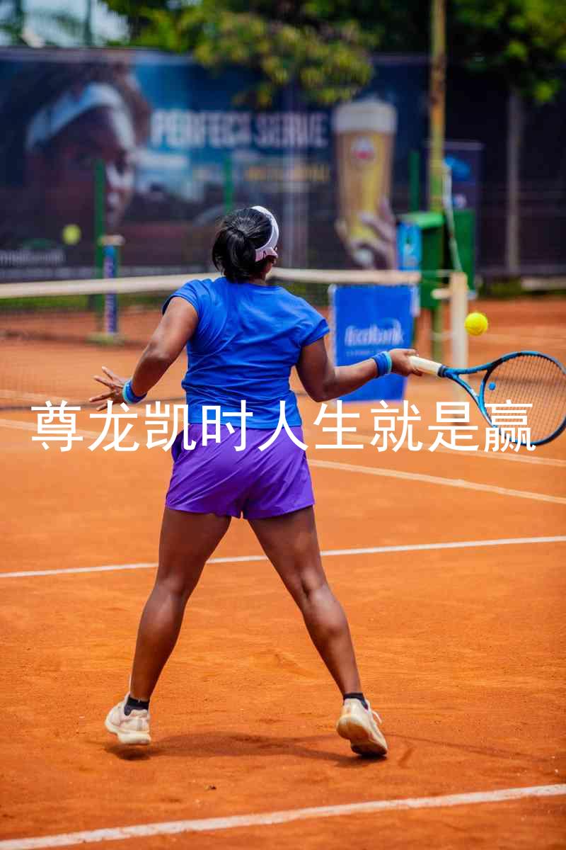 尊龙凯时人生就是赢