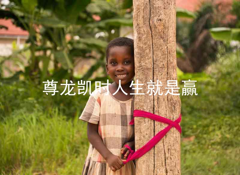 尊龙凯时人生就是赢