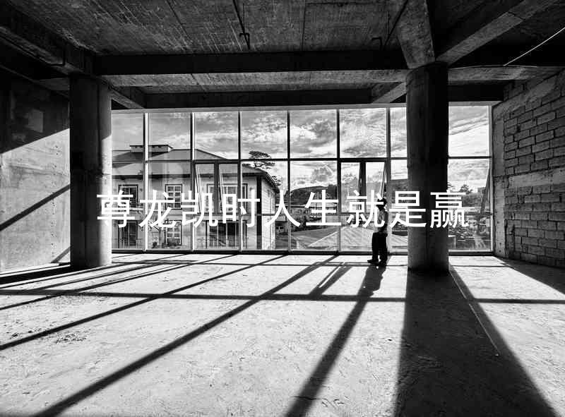 尊龙凯时人生就是赢