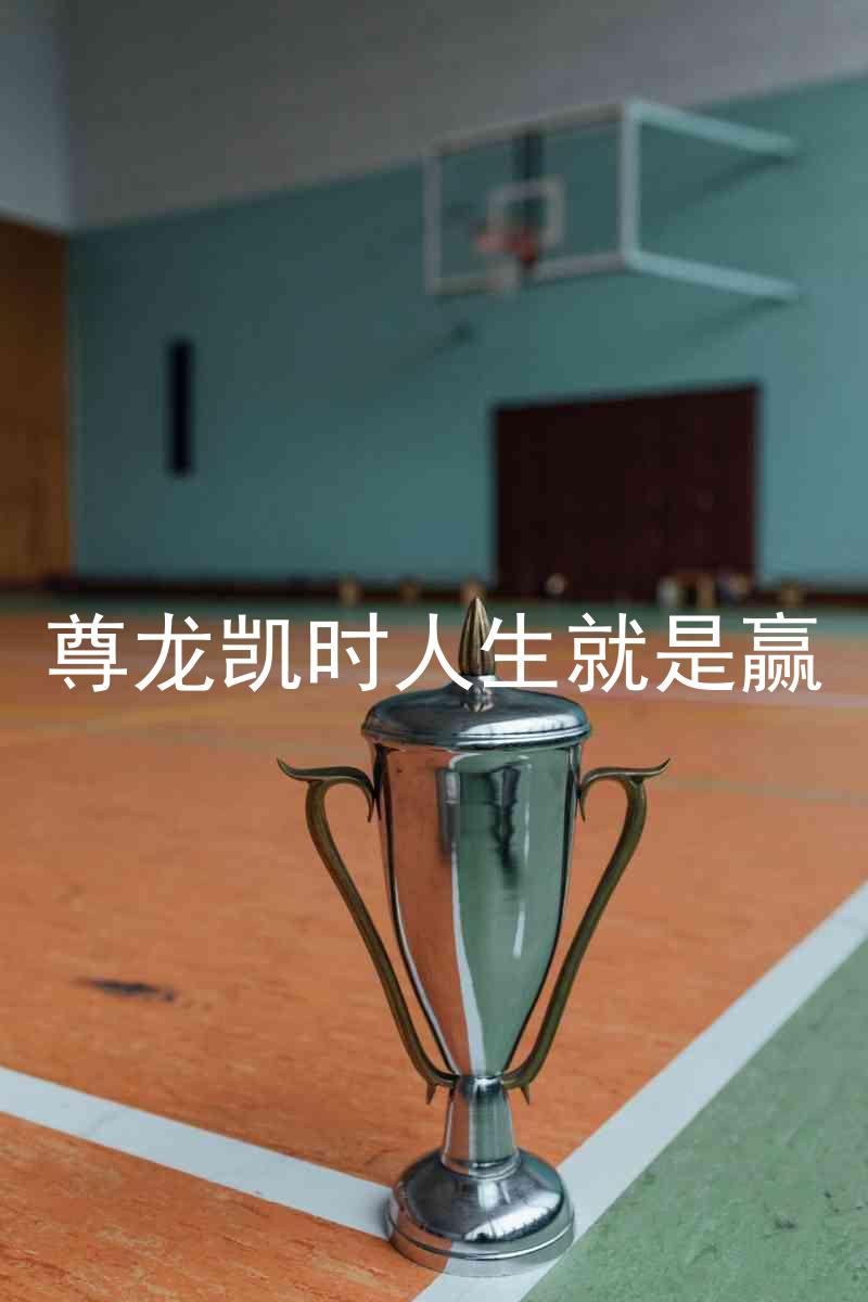 尊龙凯时人生就是赢