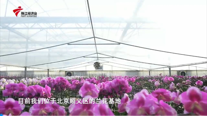 Z6ʱ(й)ٷվ